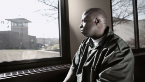 David McCallum Window